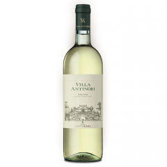 Tuscan White Wine igt Villa Antinori 
