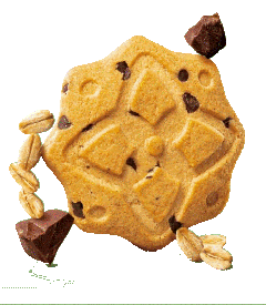 Cioccoavena Mulino Bianco Biscuits