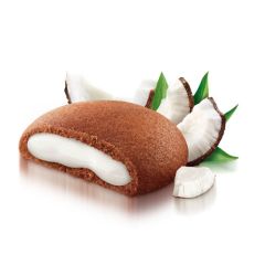 Coconut flavored Cookies Matilde Vicenzi