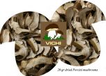 Dried Porcini Mushrooms Vichi 